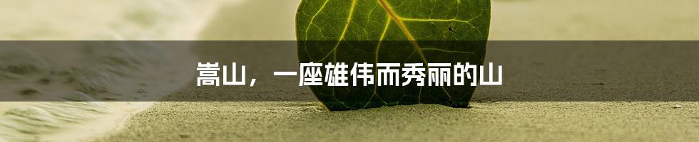 嵩山，一座雄伟而秀丽的山