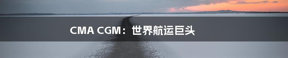 CMA CGM：世界航运巨头