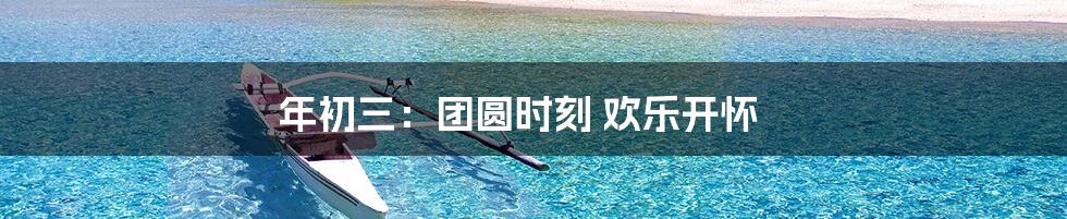 年初三：团圆时刻 欢乐开怀