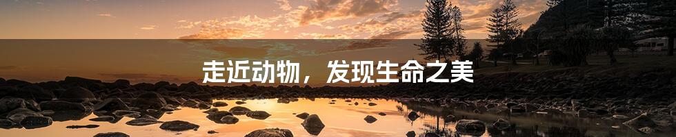 走近动物,发现生命之美