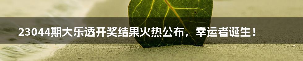 23044期大乐透开奖结果火热公布,幸运者诞生!