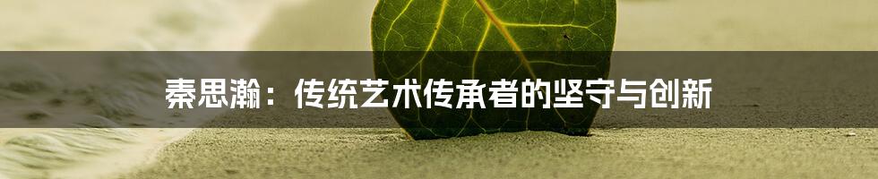 秦思瀚：传统艺术传承者的坚守与创新