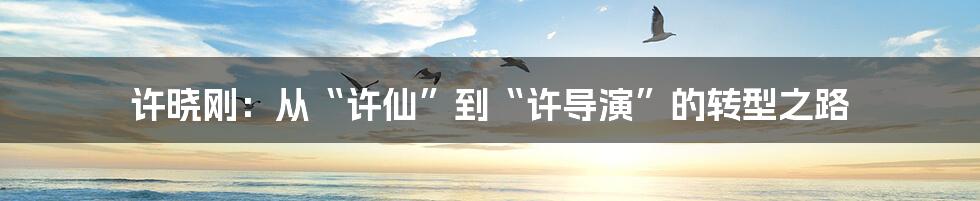 许晓刚:从“许仙”到“许导演”的转型之路