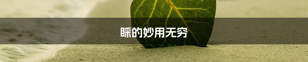 睬的妙用无穷