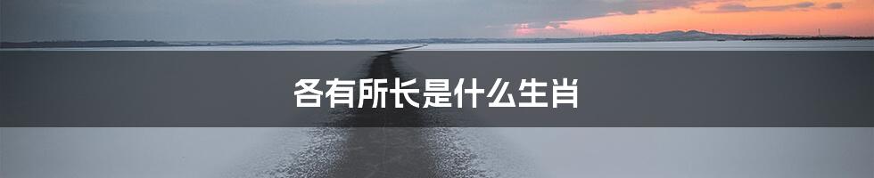 各有所长是什么生肖