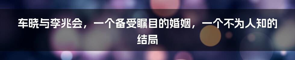 车晓与李兆会，一个备受瞩目的婚姻，一个不为人知的结局