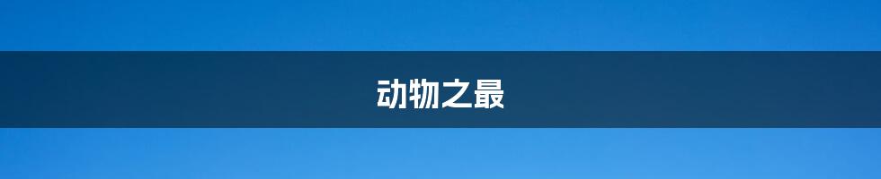 动物之最