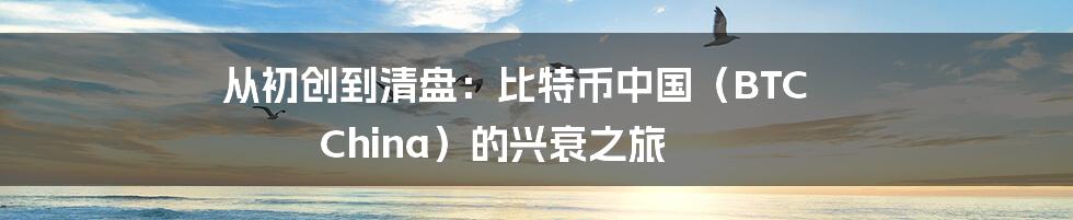从初创到清盘:比特币中国(BTC China)的兴衰之旅