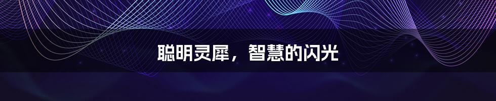 聪明灵犀,智慧的闪光