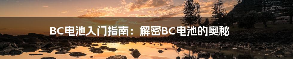 BC电池入门指南:解密BC电池的奥秘
