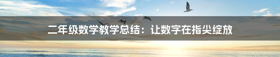 二年级数学教学总结:让数字在指尖绽放