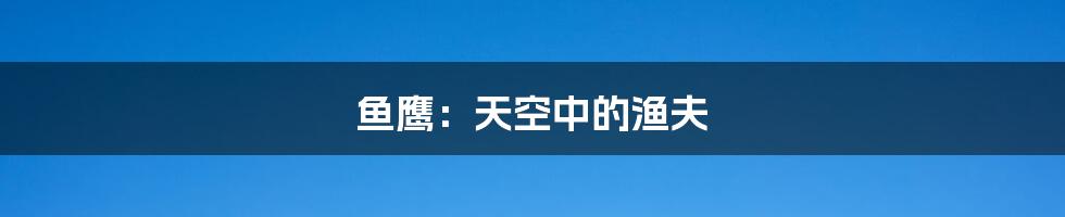 鱼鹰:天空中的渔夫