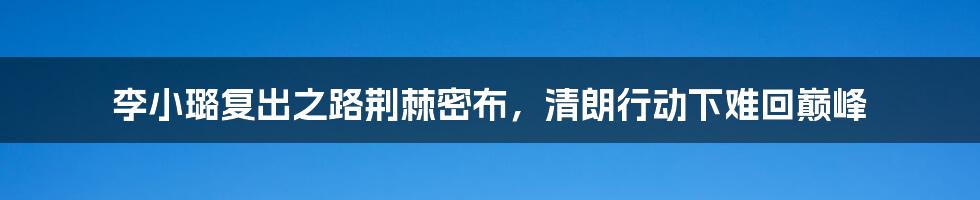 李小璐复出之路荆棘密布,清朗行动下难回巅峰