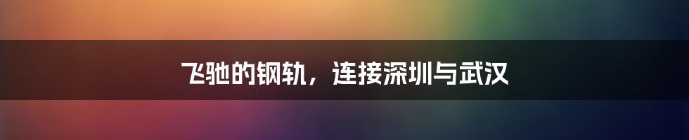 飞驰的钢轨,连接深圳与武汉