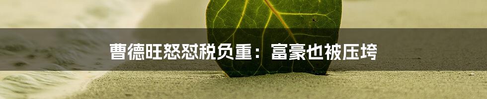 曹德旺怒怼税负重：富豪也被压垮