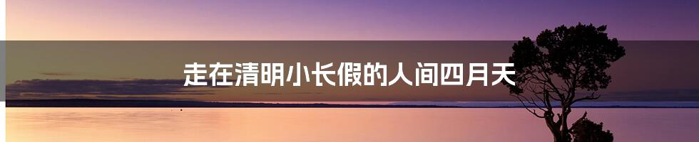 走在清明小长假的人间四月天