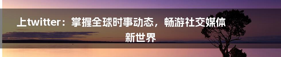 上twitter：掌握全球时事动态，畅游社交媒体新世界