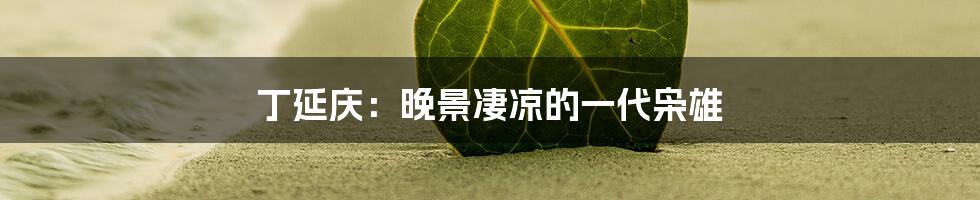 丁延庆:晚景凄凉的一代枭雄