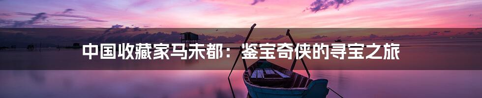 中国收藏家马未都：鉴宝奇侠的寻宝之旅