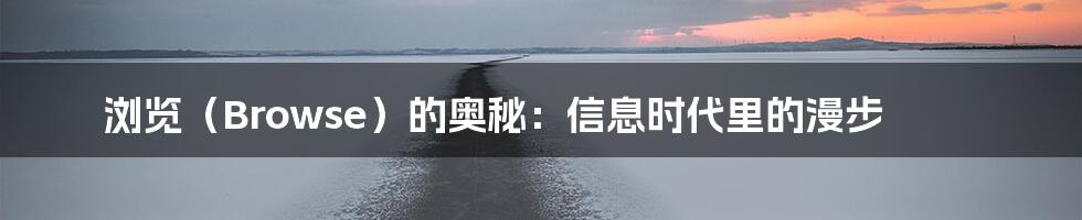 浏览（Browse）的奥秘：信息时代里的漫步