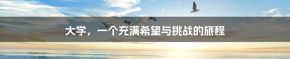 大学,一个充满希望与挑战的旅程