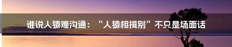 谁说人猿难沟通：“人猿相揖别”不只是场面话