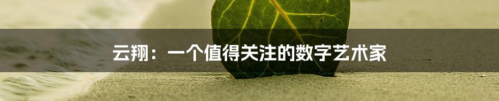 云翔:一个值得关注的数字艺术家