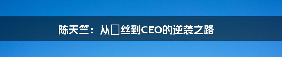 陈天竺：从屌丝到CEO的逆袭之路