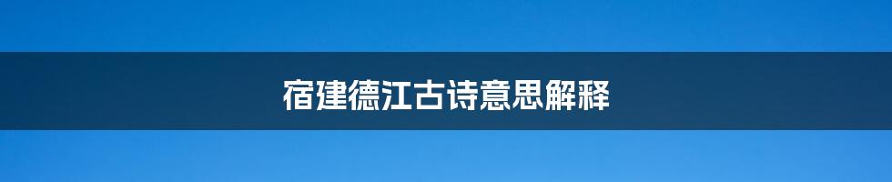 宿建德江古诗意思解释