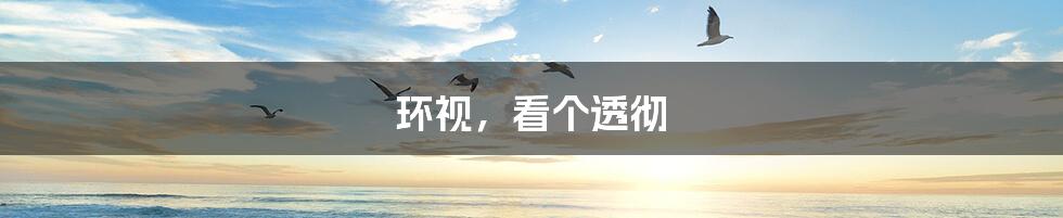 环视,看个透彻