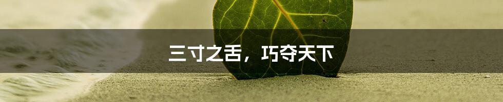 三寸之舌,巧夺天下