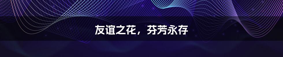 友谊之花，芬芳永存