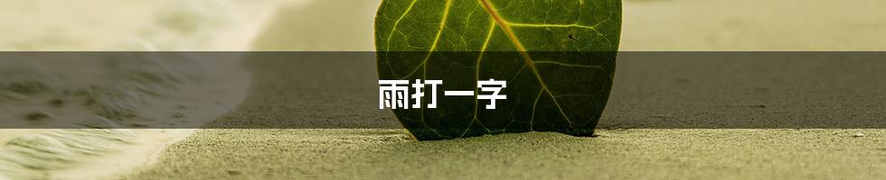 雨打一字