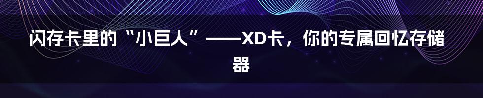 闪存卡里的“小巨人”——XD卡,你的专属回忆存储器
