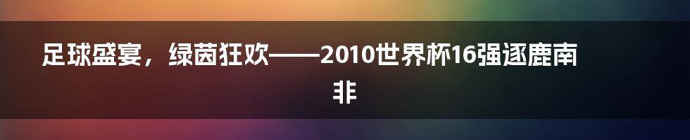 足球盛宴，绿茵狂欢——2010世界杯16强逐鹿南非
