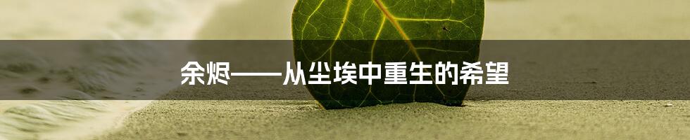 余烬——从尘埃中重生的希望