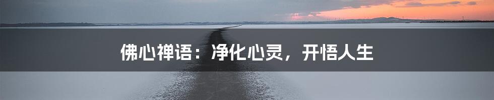 佛心禅语:净化心灵,开悟人生