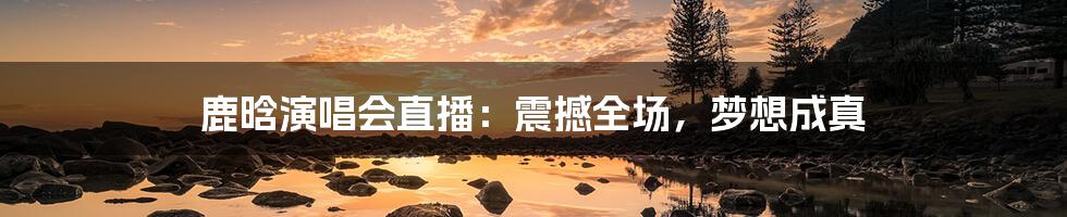 鹿晗演唱会直播:震撼全场,梦想成真