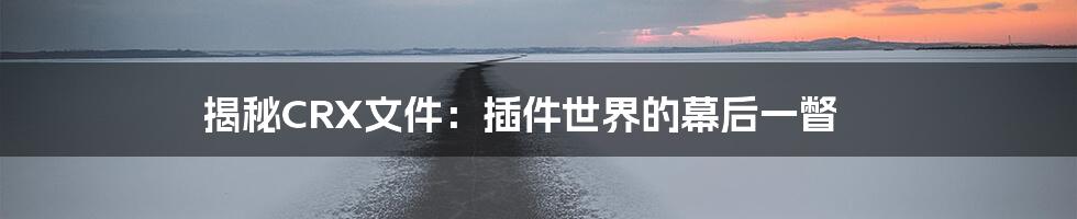 揭秘CRX文件:插件世界的幕后一瞥