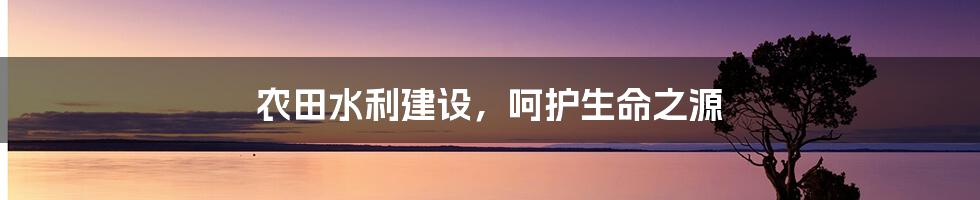 农田水利建设，呵护生命之源