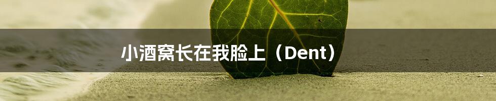 小酒窝长在我脸上（Dent）