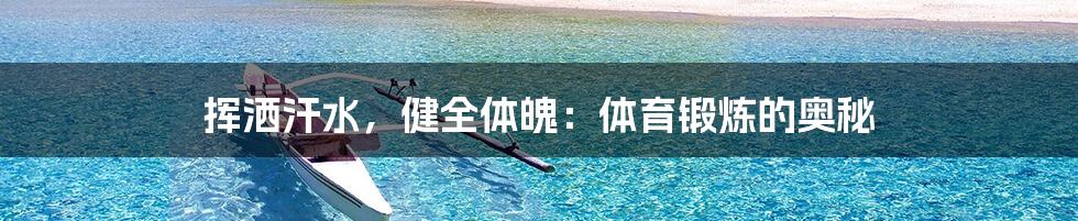 挥洒汗水,健全体魄:体育锻炼的奥秘