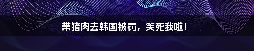 带猪肉去韩国被罚，笑死我啦！