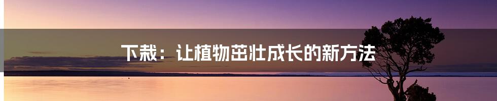 下栽:让植物茁壮成长的新方法