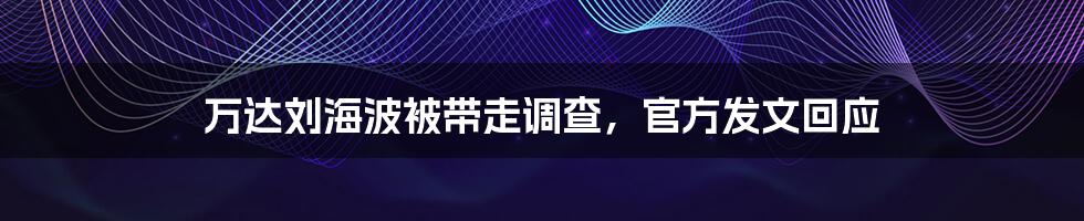 万达刘海波被带走调查，官方发文回应