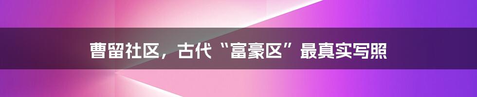 曹留社区,古代“富豪区”最真实写照