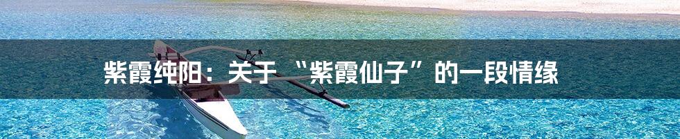 紫霞纯阳:关于 “紫霞仙子”的一段情缘