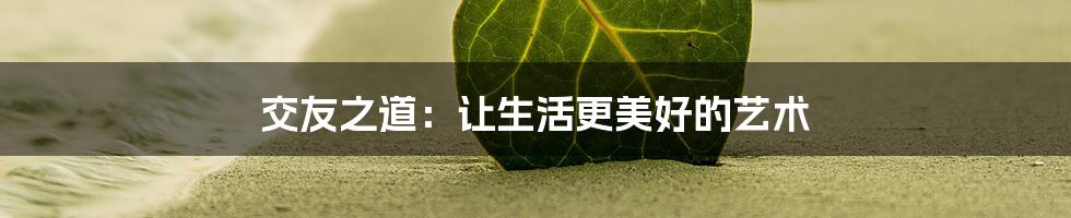 交友之道：让生活更美好的艺术