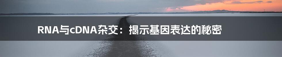 RNA与cDNA杂交:揭示基因表达的秘密