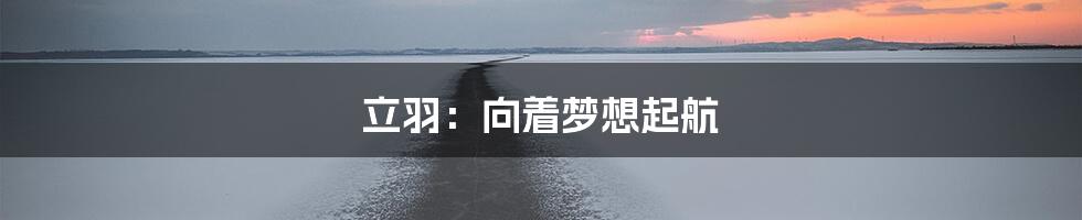 立羽：向着梦想起航